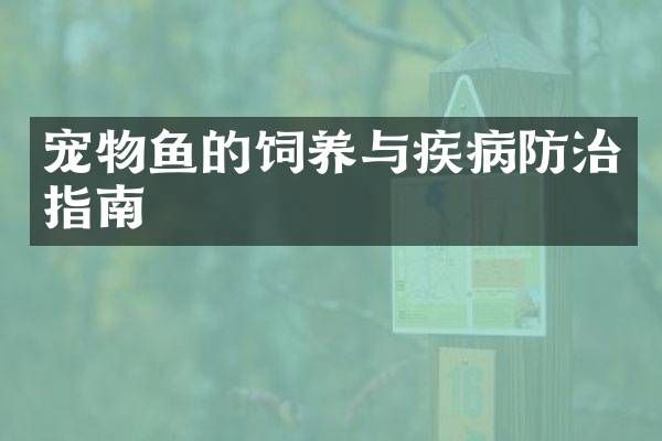 宠物鱼的饲养与疾病防治指南