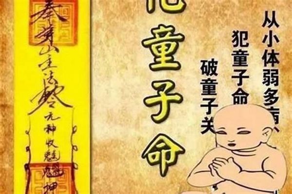 属猪的养什么动物