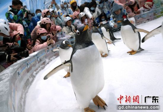 活动现场。通讯员 供图