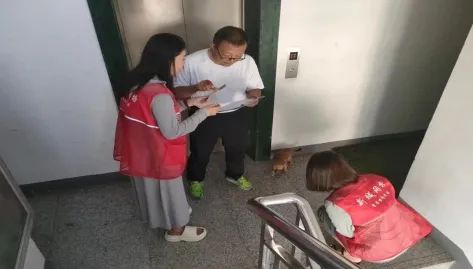  “宠”爱有方，塑造文明养犬新风尚 ——西苑社区开展文明养犬宣传活动相关图片