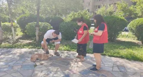 “宠”爱有方，塑造文明养犬新风尚 ——西苑社区开展文明养犬宣传活动相关图片
