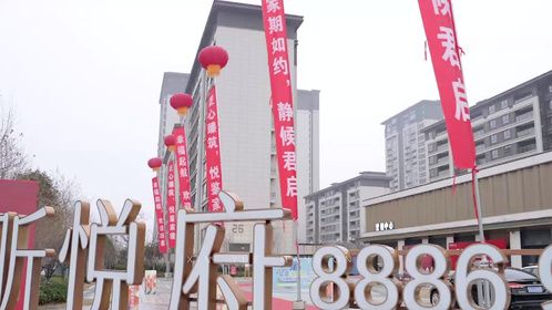 弘阳品质交付季丨昕悦府：悦享生活 美好启幕