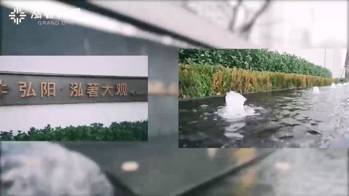 弘阳品质交付季丨泓著大观：大观臻境 以心交新