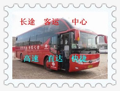 乘车）胶南到海宁/客车线路指南/几天发一班车