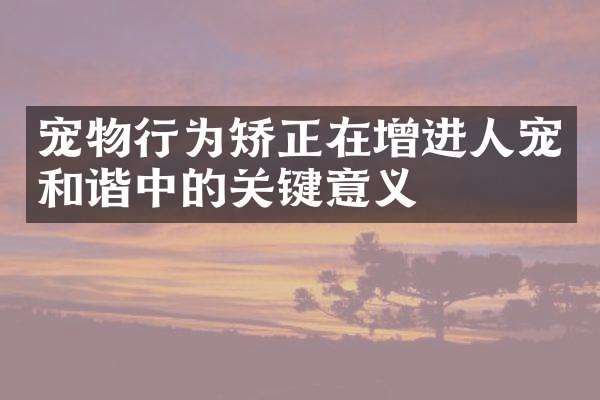 宠物行为矫正在增进人宠和谐中的关键意义