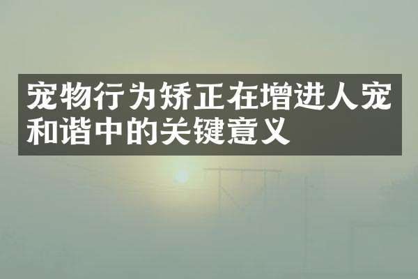 宠物行为矫正在增进人宠和谐中的关键意义