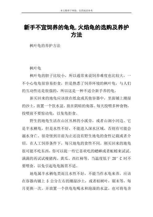 新手不宜饲养的龟龟,火焰龟的选购及养护方法