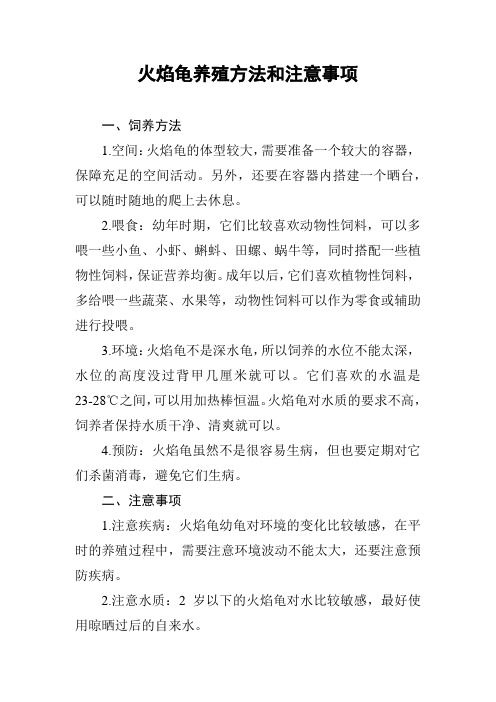 火焰龟养殖方法和注意事项