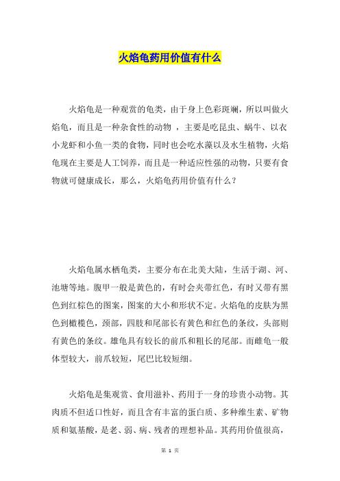 火焰龟药用价值有什么