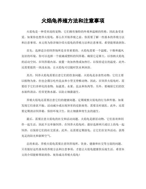 火焰龟养殖方法和注意事项