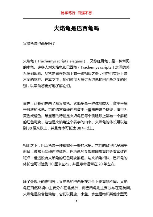 火焰龟是巴西龟吗