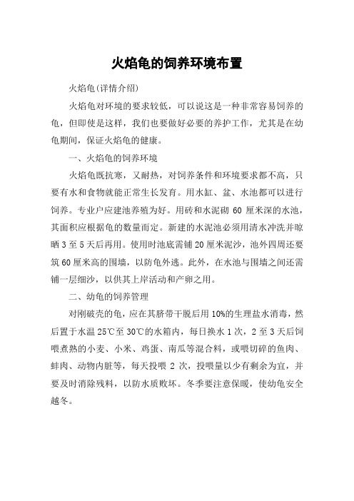 火焰龟的饲养环境布置