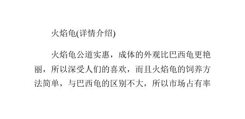 火焰龟的选择及养护方法
