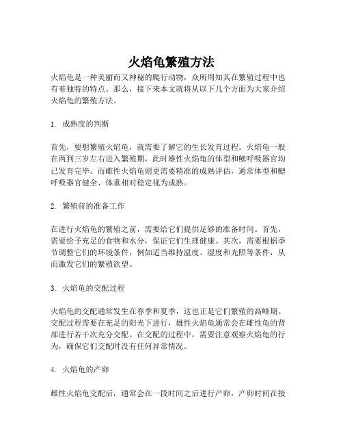 火焰龟繁殖方法