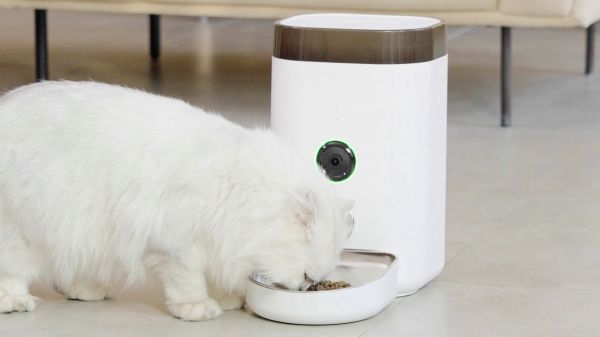 多尼斯新品 大眼睛智能喂食器 高颜值