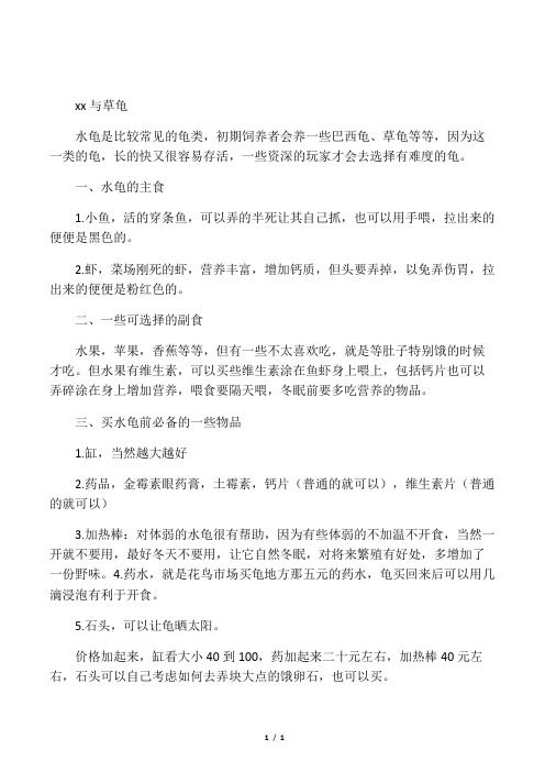 水龟的饲养心得