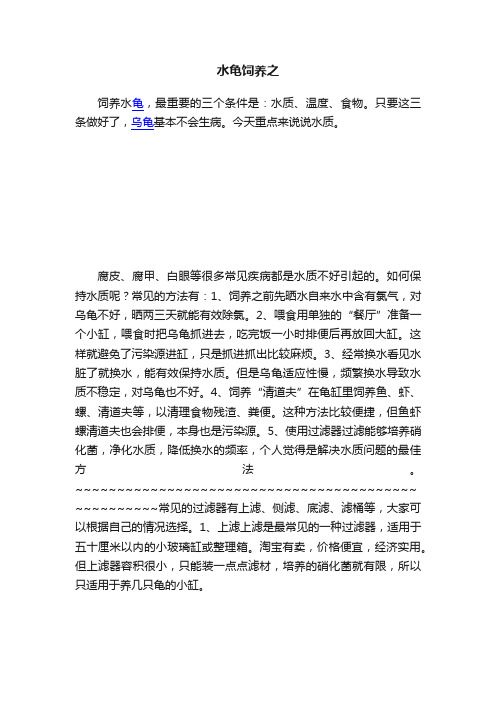 水龟饲养之