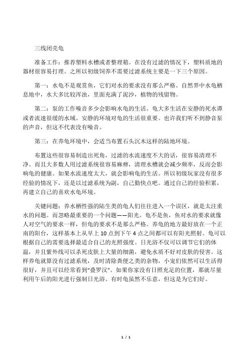 浅谈水龟入门饲养