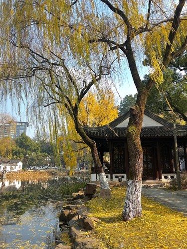 杭州新店｜以为自己在颐和园…