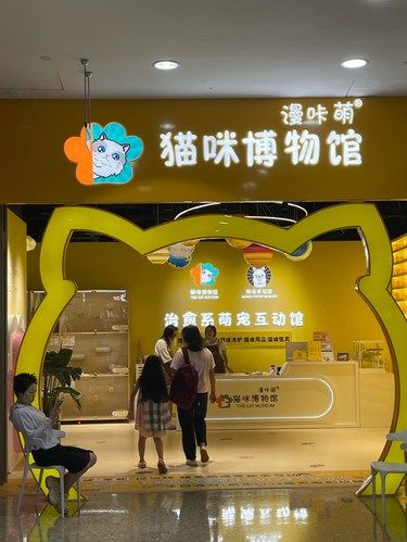 猫咪博物馆|成都温江遛娃好去处
