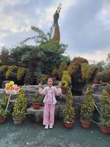 孩子的快乐旅程记