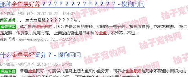 最好养的金鱼品种