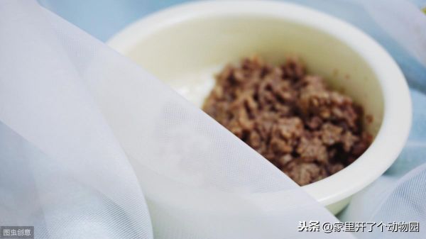 生完小猫的母猫吃什么好消化,母猫生完小猫吃啥（给爱猫最好的营养补给）