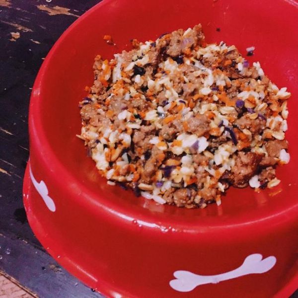 狗狗饭食——牛肉拌饭的做法