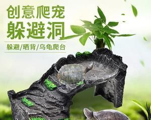 如何合理饲养棱皮龟？（科学养殖方法，让宠物棱皮龟健康成长）