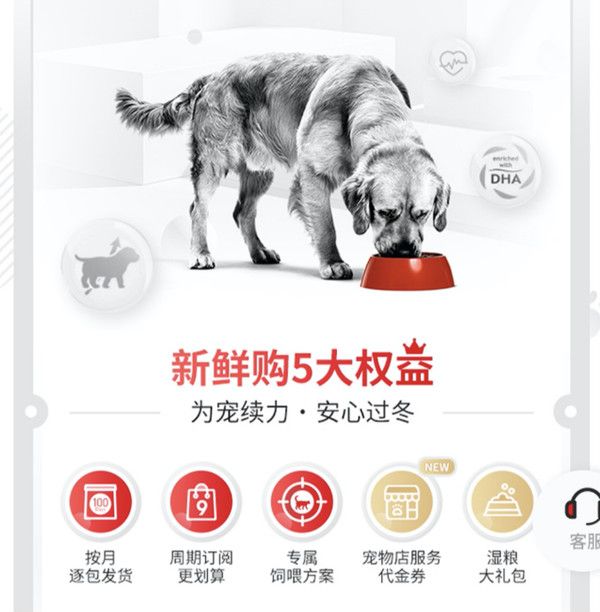 皇家定制宠物粮 温暖续力