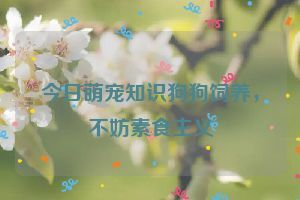 今日萌宠知识狗狗饲养，不妨素食主义