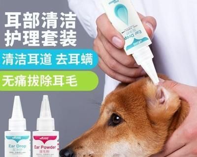 比格犬耳朵清洗详解（宠物护理必备技能）