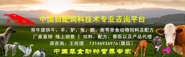 羊饲料-不同阶段的羊饲料