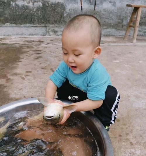 让宠物健康成长，主人该如何喂狗狗吃鱼？（以主人喂狗狗吃鱼，保障宠物健康成长）