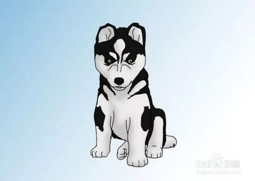 如何训练狗狗离开后继续进行基础训练？