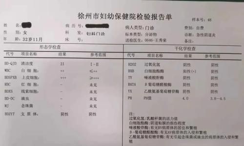 掌握这些关键步骤，有效应对狗狗阴道肿瘤手术（宠物爱护）