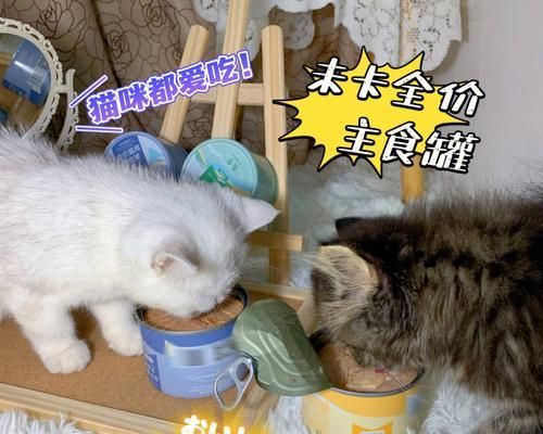 猫咪罐头饮食，（宠物的健康需求与罐头饮食选择）