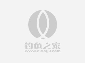 馒头鱼饵