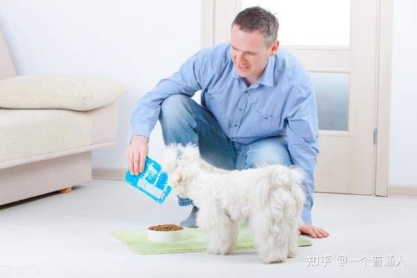 训练狗_狗训练前训练后搞笑图_狗训练前后是什么生肖的动物