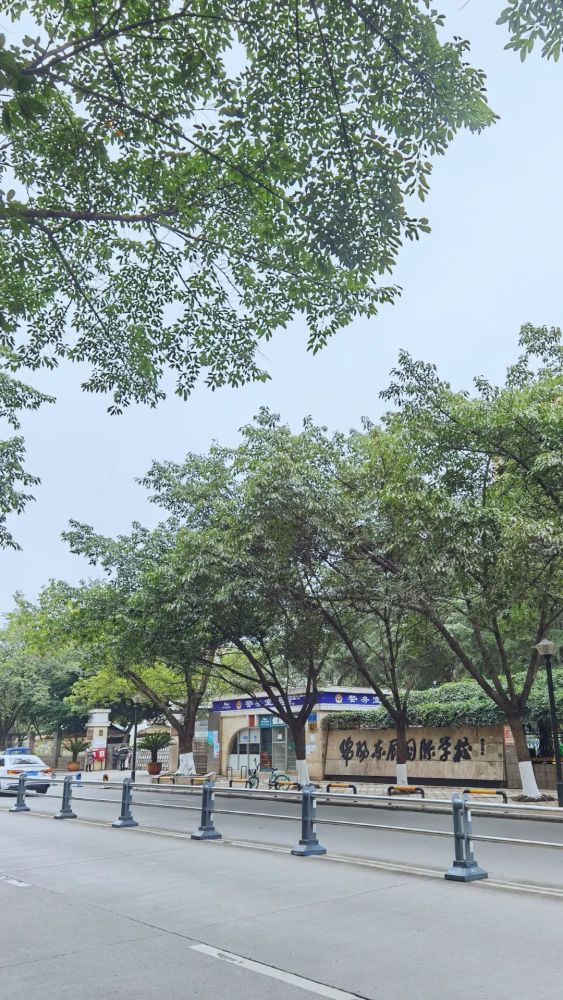 在绵阳市的郊外，有一个名叫萌宠乐园的地方，这里是一个充满生机与活力的世界，各种各样的小动物们在这里快乐地生活着。而在这个萌宠乐园里，最受游客喜爱的莫过于那些色彩斑斓、形态各异的鸟儿了。