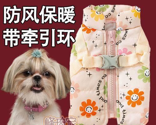 两个月幼犬冬季保暖攻略（如何给宠物提供舒适的温暖环境）