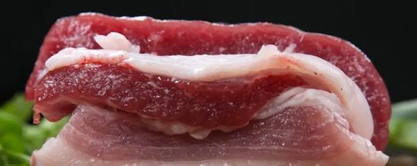 春节猪肉价格大概多少钱一斤