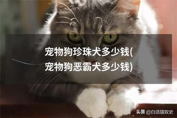 宠物狗珍珠犬多少钱(宠物狗恶霸犬多少钱)