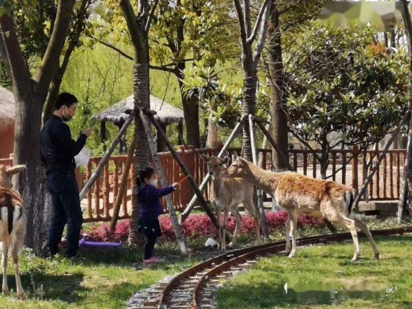 桓仁萌宠乐园在哪，一次寻访萌宠的奇妙之旅