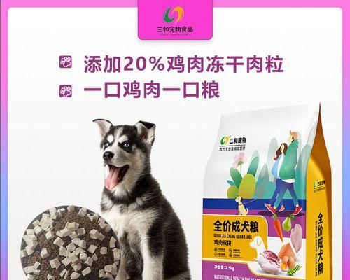 一月大泰迪狗粮喂养指南（如何科学喂养小泰迪）