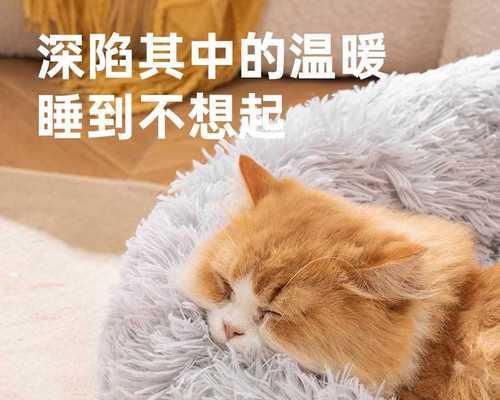 猫咪老化征兆——了解宠物健康的关键（宠物变老的征兆及如何延缓衰老过程）