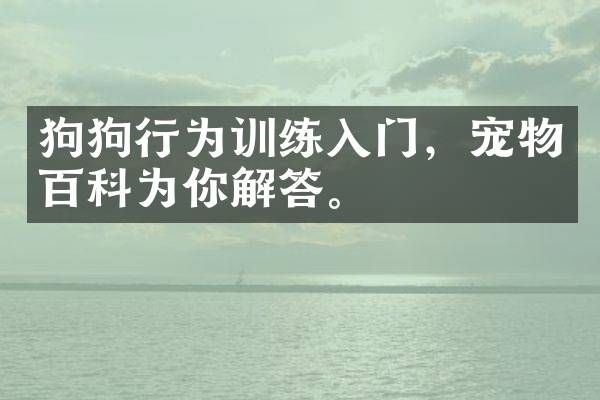 狗狗行为训练入门，宠物百科为你解答。