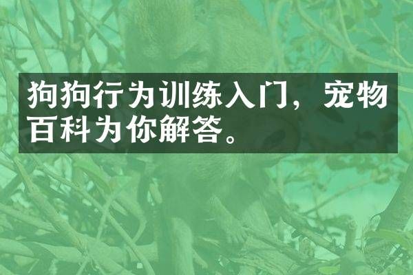狗狗行为训练入门，宠物百科为你解答。