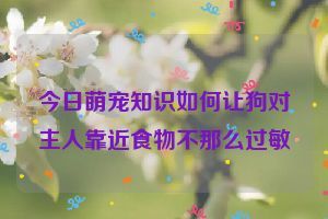 今日萌宠知识如何让狗对主人靠近食物不那么过敏