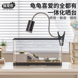 独宠你 乌龟缸生态缸宠物饲养箱鱼缸塑料透明蝾螈爬宠